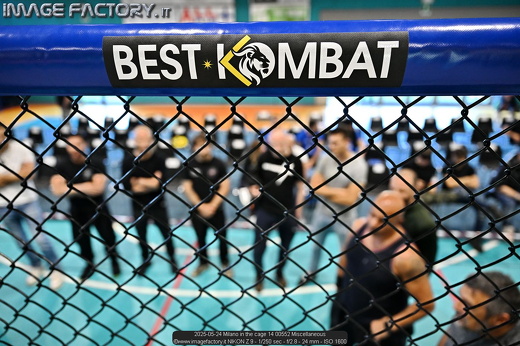 2025-05-24 Milano in the cage 14 00552 Miscellaneous